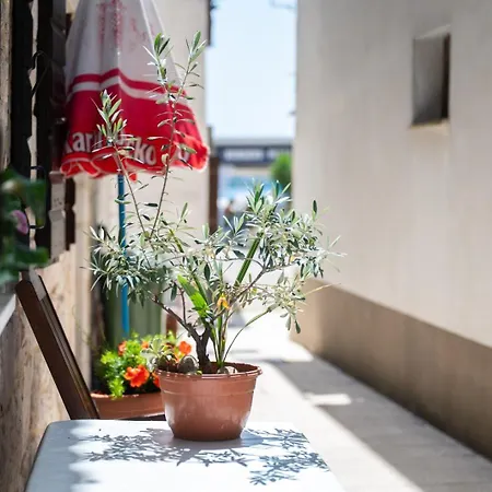 Traditional Dalmatian House Tina 度假居 *