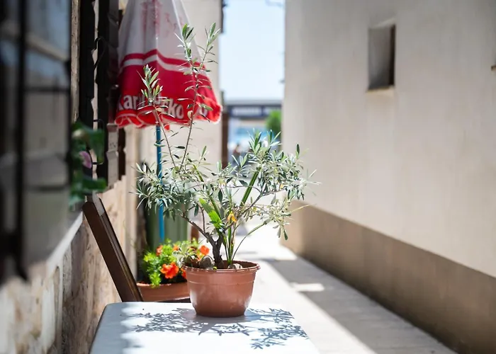 Traditional Dalmatian House Tina Casa vacanze *